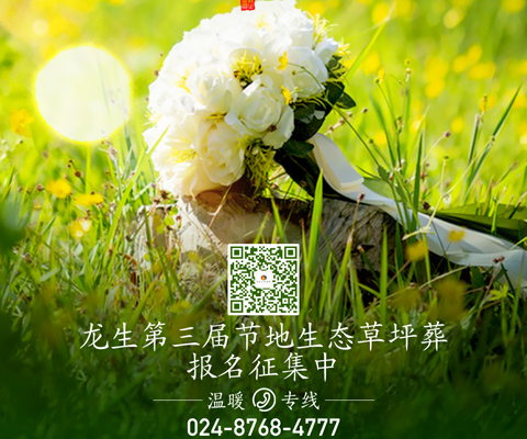 沈阳墓园购买墓地选择龙生第三届节地生态草坪葬报名！