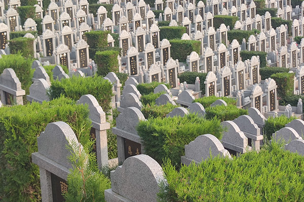 2024年沈阳公墓管理费收费标准规定