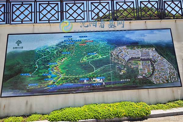 沈阳树葬墓园，绿荫庇护，自然与生命共舞的纪念地