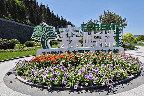 沈阳森林墓园静谧时光中的生命画卷