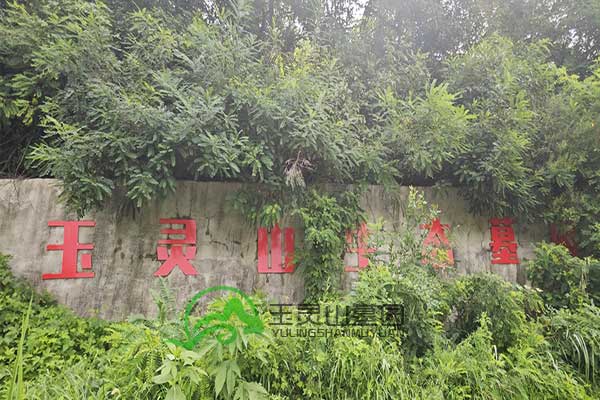 沈阳墓园人文关怀与自然美景交织的安息之地