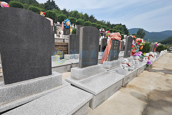 2026清明节落葬沈阳墓园：选哪天安葬好？一份沈阳墓园大全实用全攻略