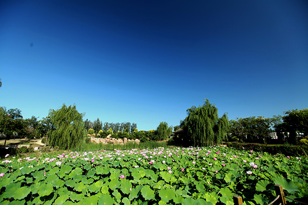 沈阳市龙生墓园