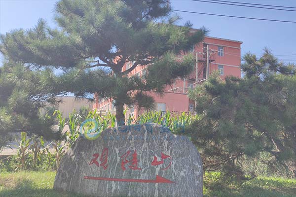 沈阳墓地有单人墓地吗？买单人墓地合适？还是双人墓地？