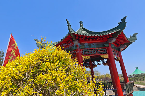 沈阳公墓相比农村安葬有哪些法律合规优势？