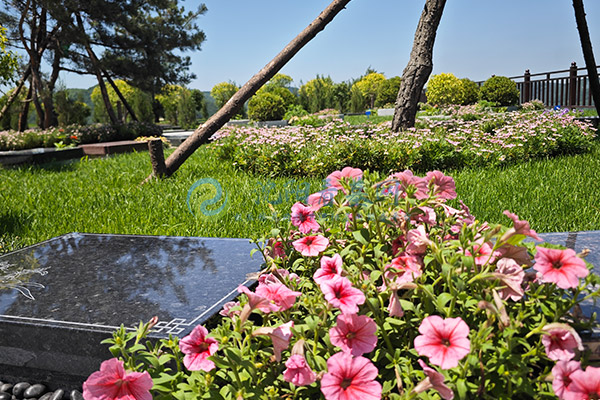 沈阳墓园丧事“双灵堂”习俗：家宅与殡仪馆的分工奥秘