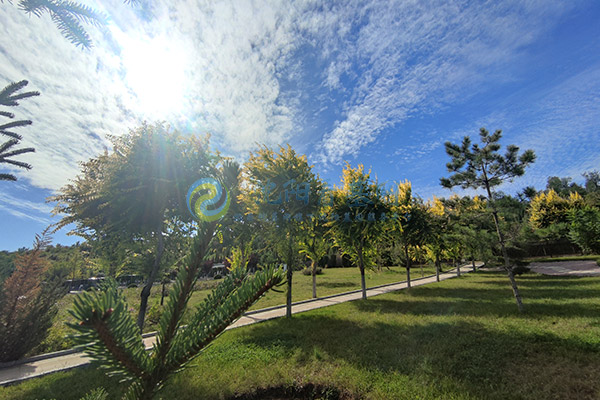 沈阳墓园内的葬式选择有哪些特点？