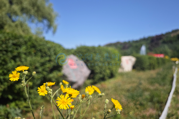 2026年沈阳沈北新区永久经营性公墓推荐:龙福山墓园,现代园林+亲民价格的永恒福地! 2026年沈阳沈北新区永久经营性公墓推荐:龙福山墓园,现代园林+亲民价格的永恒福地!