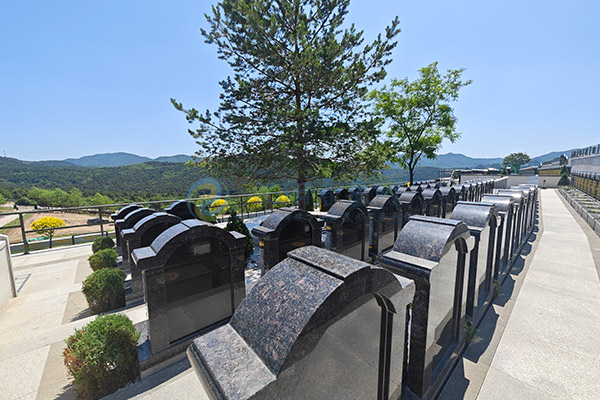 2026年沈阳沈北新区永久经营性公墓推荐:龙福山墓园,现代园林+亲民价格的永恒福地! 2026年沈阳沈北新区永久经营性公墓推荐:龙福山墓园,现代园林+亲民价格的永恒福地!