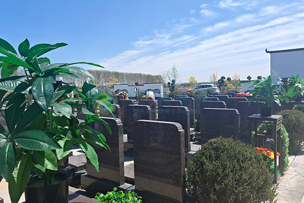 沈阳龙凤寝园：龙凤呈祥惠民福地推荐，亲民价位起6800-8900元，守护永恒安宁与家族福泽