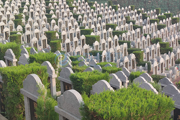 2026清明节落葬沈阳墓园:选哪天安葬好?一份沈阳墓园大全实用全攻略 2026清明节落葬沈阳墓园:选哪天安葬好?一份沈阳墓园大全实用全攻略