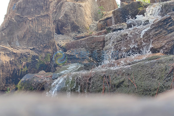 2026清明节落葬沈阳墓园:选哪天安葬好?一份沈阳墓园大全实用全攻略 2026清明节落葬沈阳墓园:选哪天安葬好?一份沈阳墓园大全实用全攻略