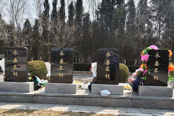 沈阳看墓网：整合辽沈地区殡葬服务资源的一站式平台