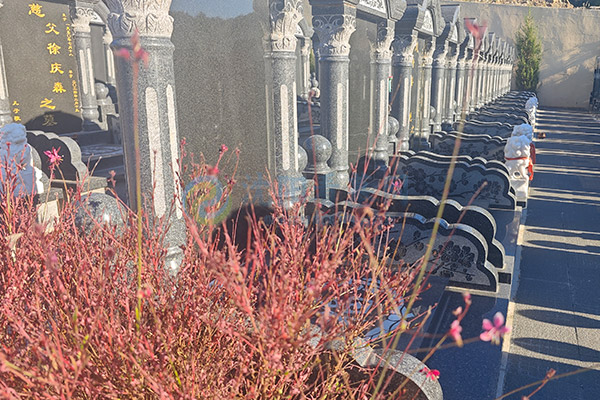 沈阳盘龙福地墓园墓型图鉴:立碑、卧碑、树葬、壁葬、艺术定制实拍指南 沈阳盘龙福地墓园墓型图鉴:立碑、卧碑、树葬、壁葬、艺术定制实拍指南