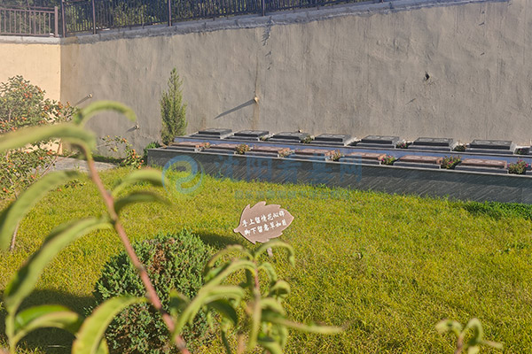 沈阳盘龙福地墓园墓型图鉴:立碑、卧碑、树葬、壁葬、艺术定制实拍指南 沈阳盘龙福地墓园墓型图鉴:立碑、卧碑、树葬、壁葬、艺术定制实拍指南